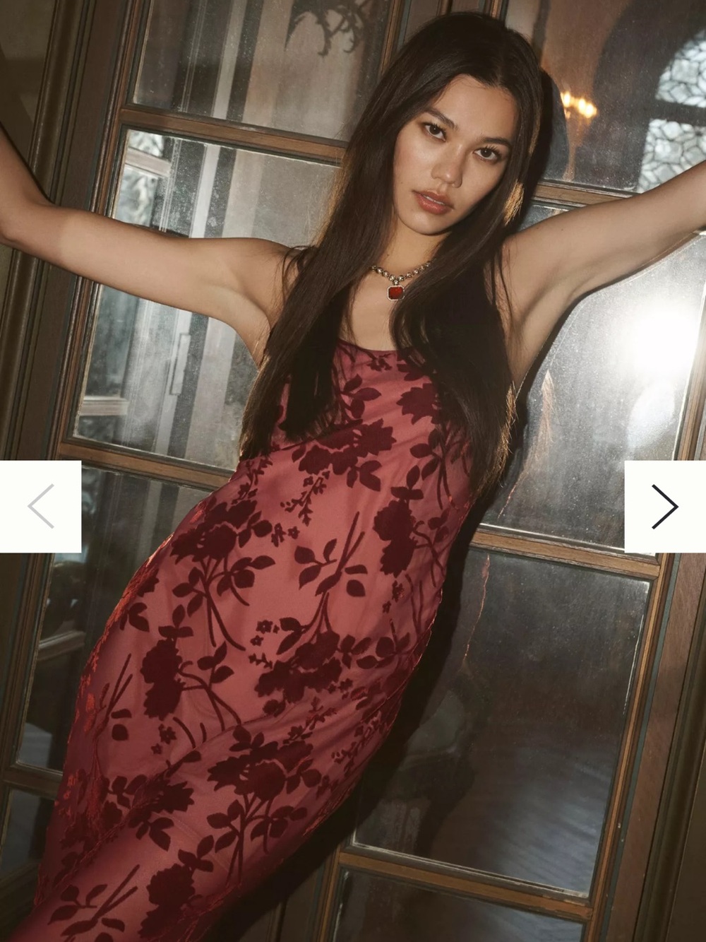Hutch Stretch Burnout Velvet Maxi Dress